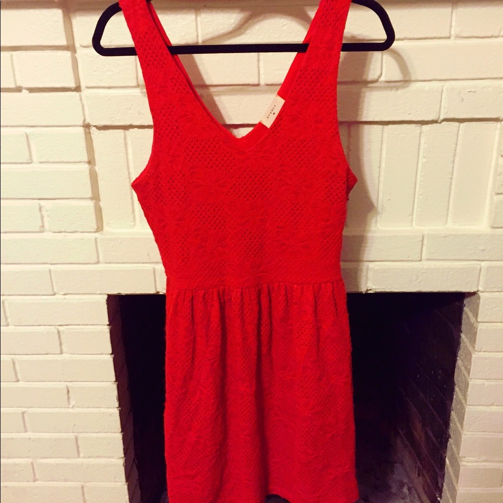 Francesca’s Lace Dress